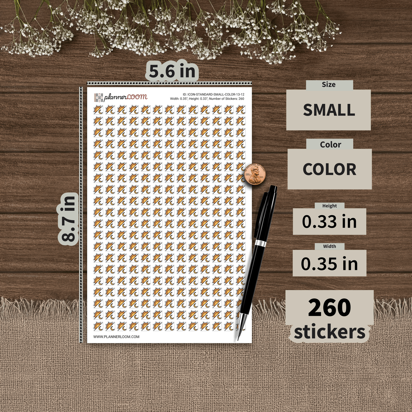 ICON-STANDARD-SMALL-COLOR-13-12.png