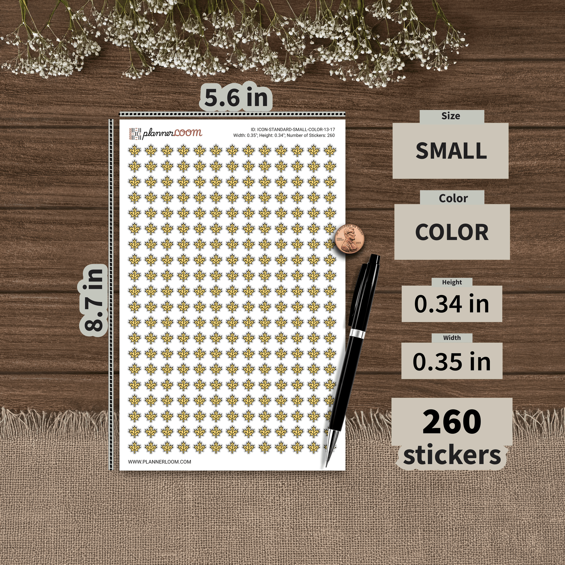 ICON-STANDARD-SMALL-COLOR-13-17.png