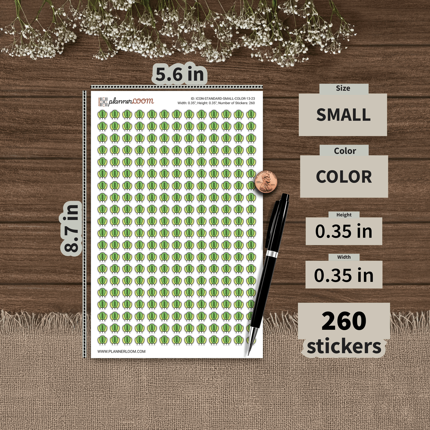 ICON-STANDARD-SMALL-COLOR-13-23.png