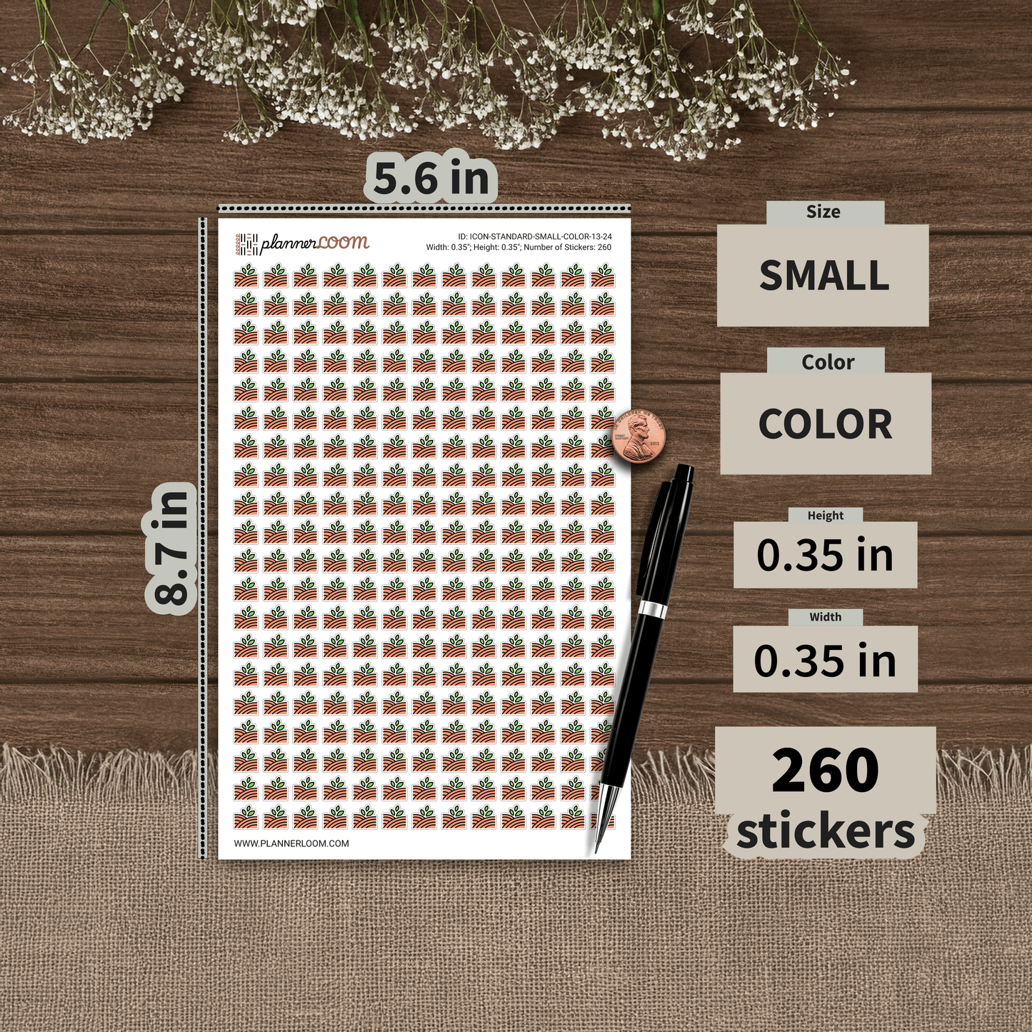 ICON-STANDARD-SMALL-COLOR-13-24.png