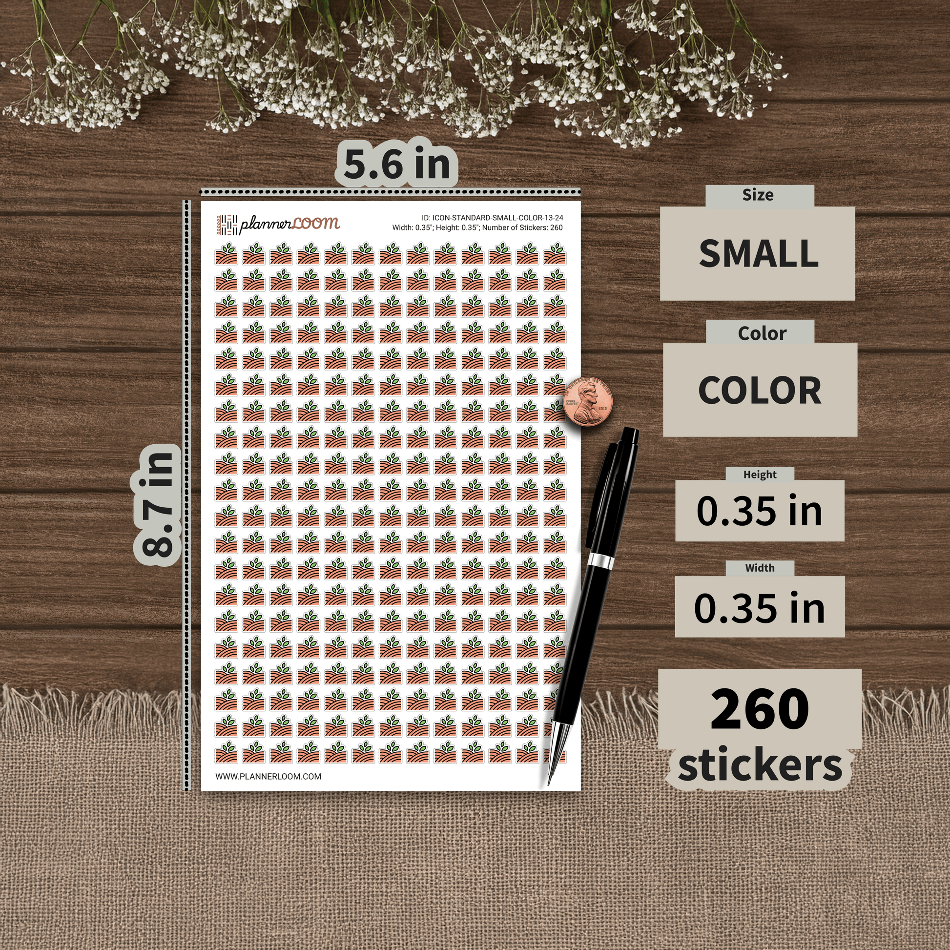 ICON-STANDARD-SMALL-COLOR-13-24.png