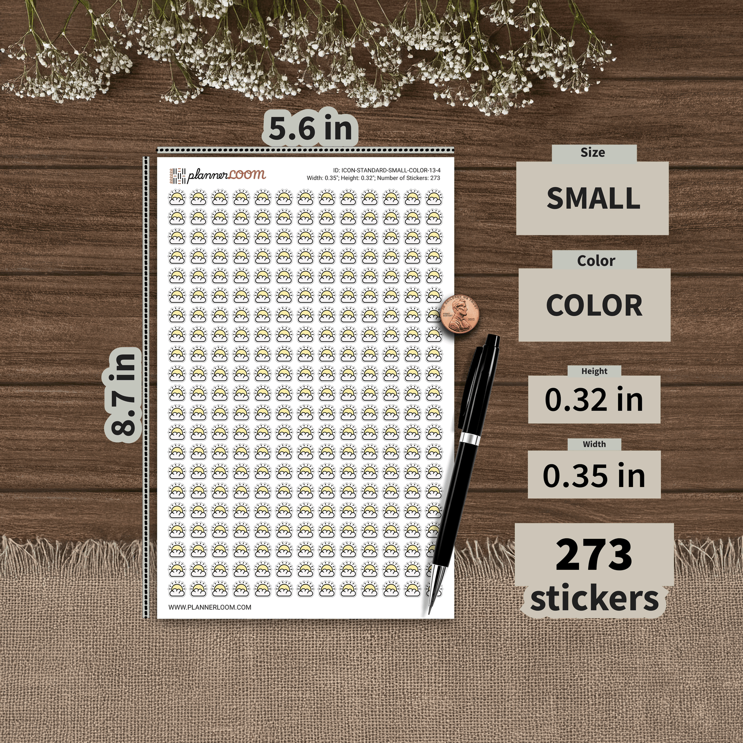 ICON-STANDARD-SMALL-COLOR-13-4.png