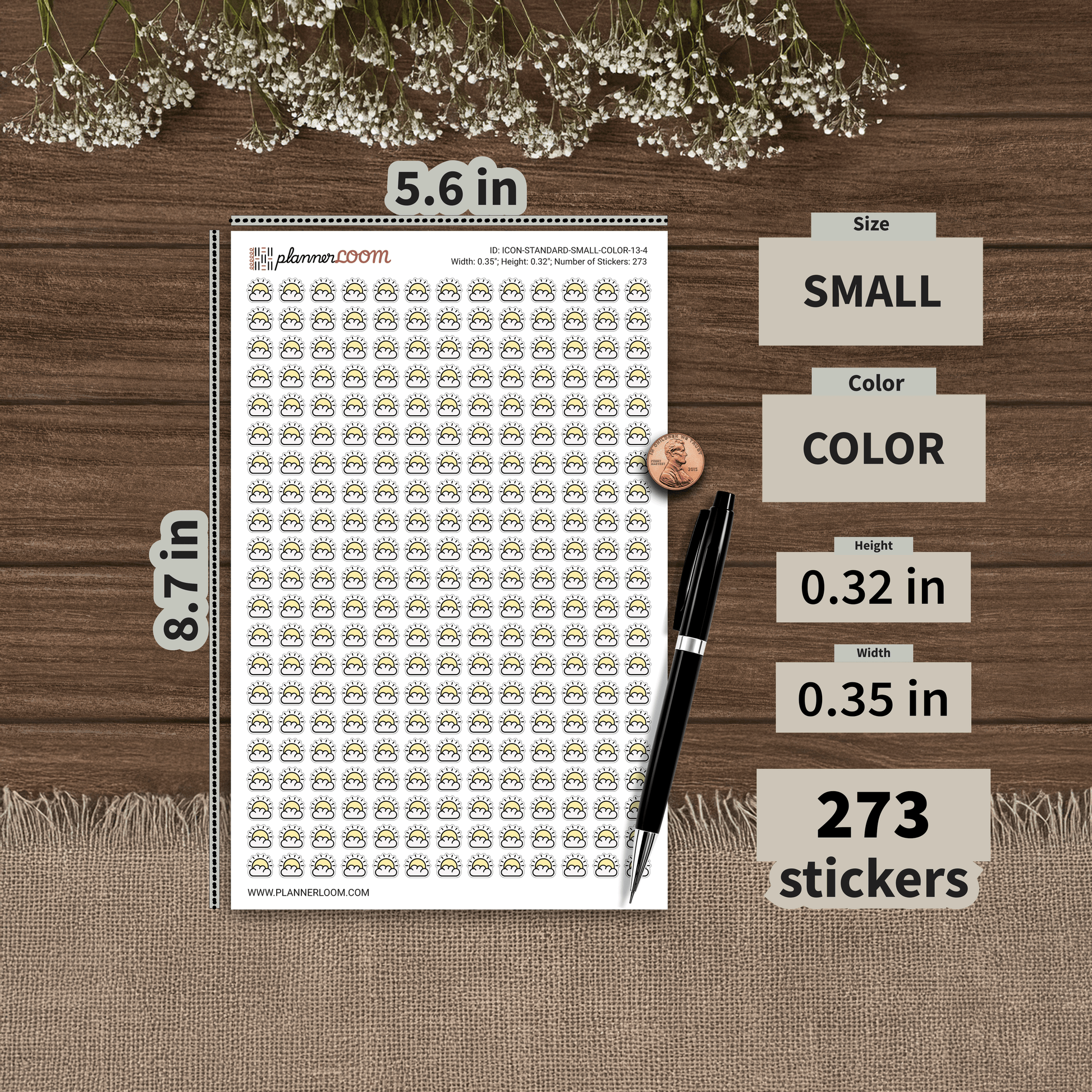 ICON-STANDARD-SMALL-COLOR-13-4.png