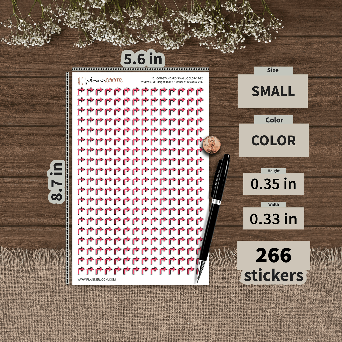 ICON-STANDARD-SMALL-COLOR-14-22.png