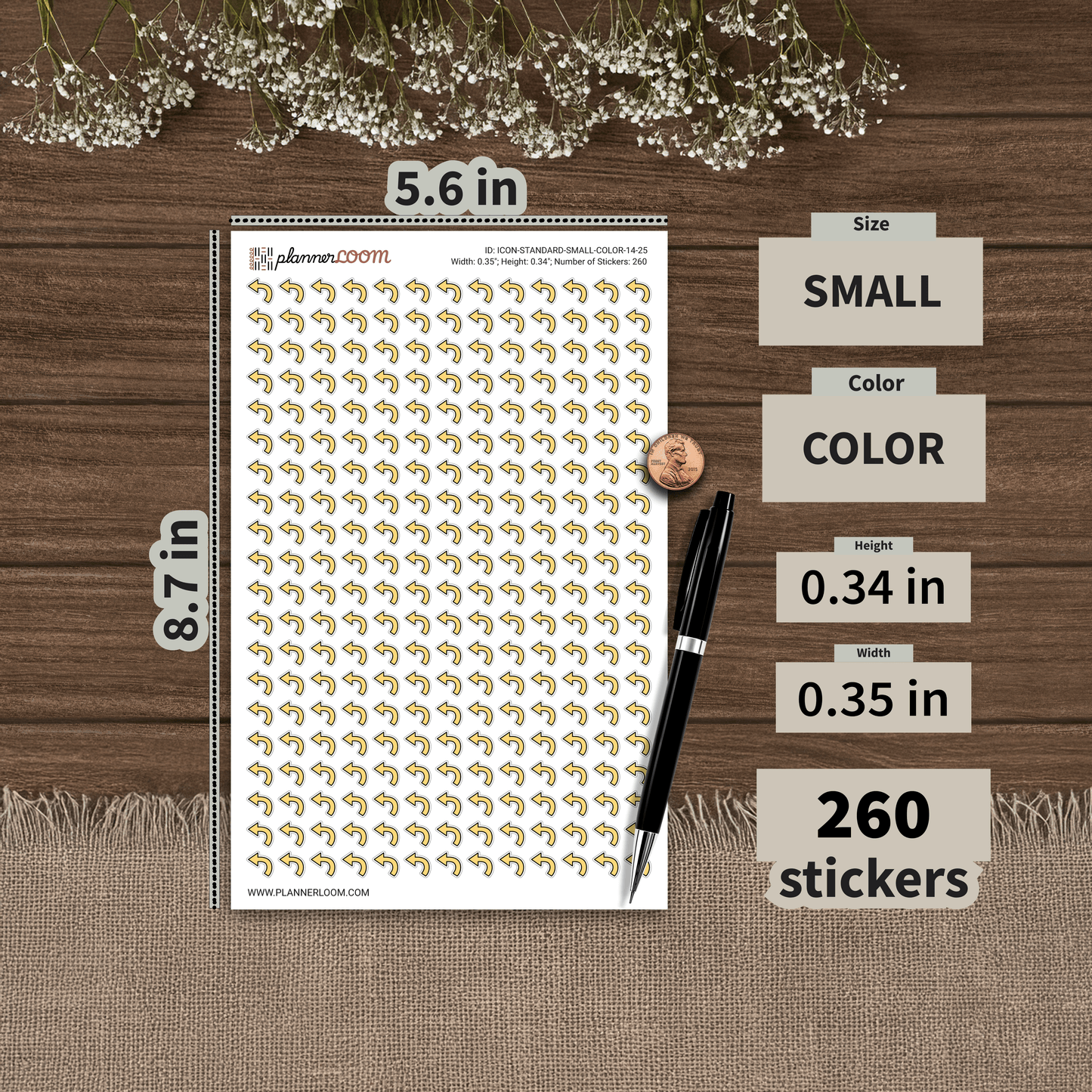 ICON-STANDARD-SMALL-COLOR-14-25.png
