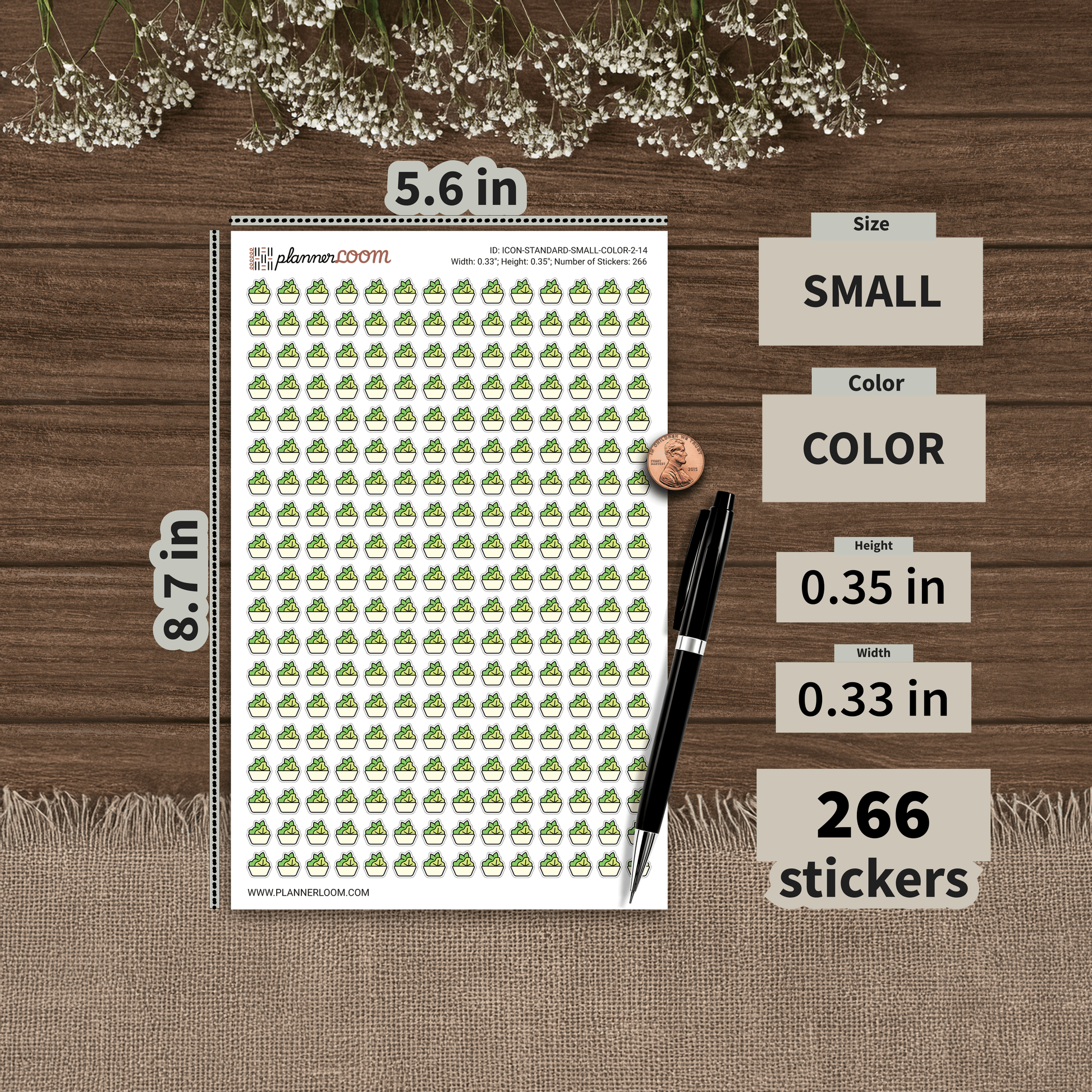 ICON-STANDARD-SMALL-COLOR-2-14.png