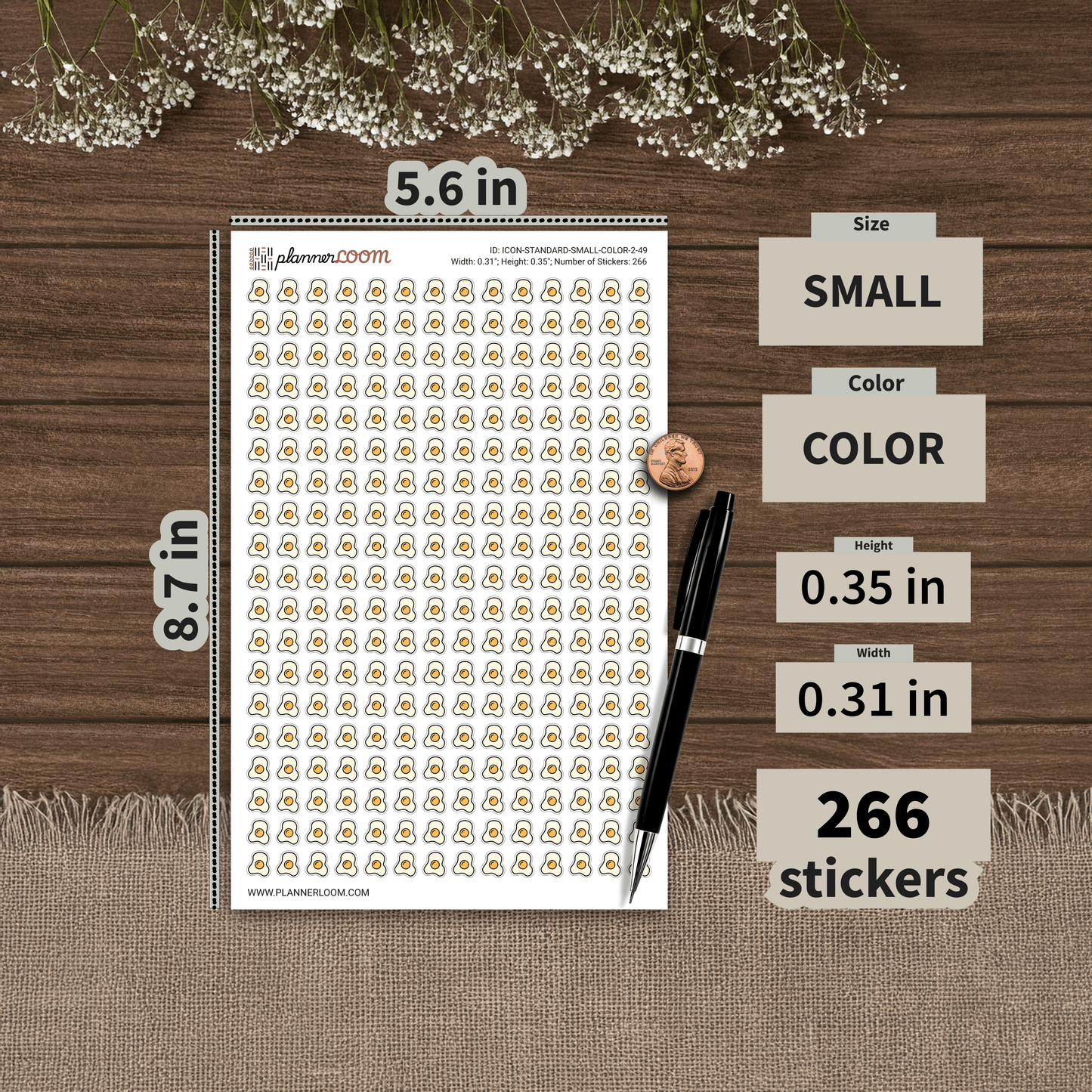ICON-STANDARD-SMALL-COLOR-2-49.png