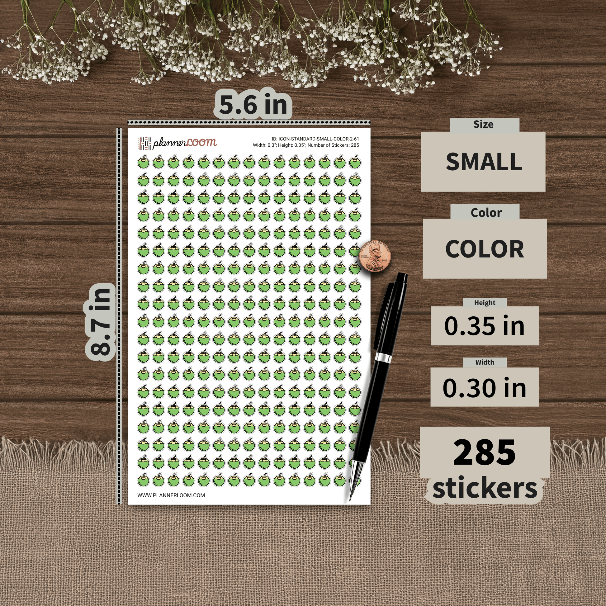 ICON-STANDARD-SMALL-COLOR-2-61.png