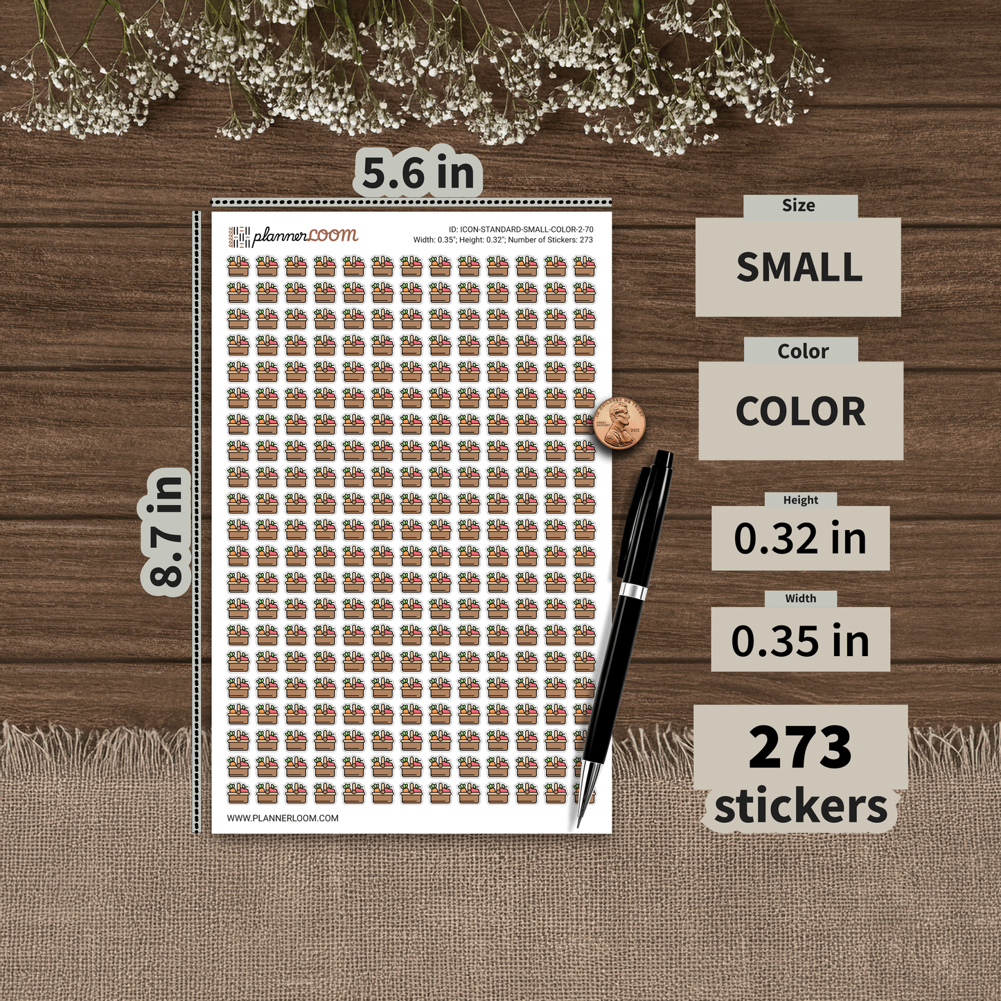 ICON-STANDARD-SMALL-COLOR-2-70.png