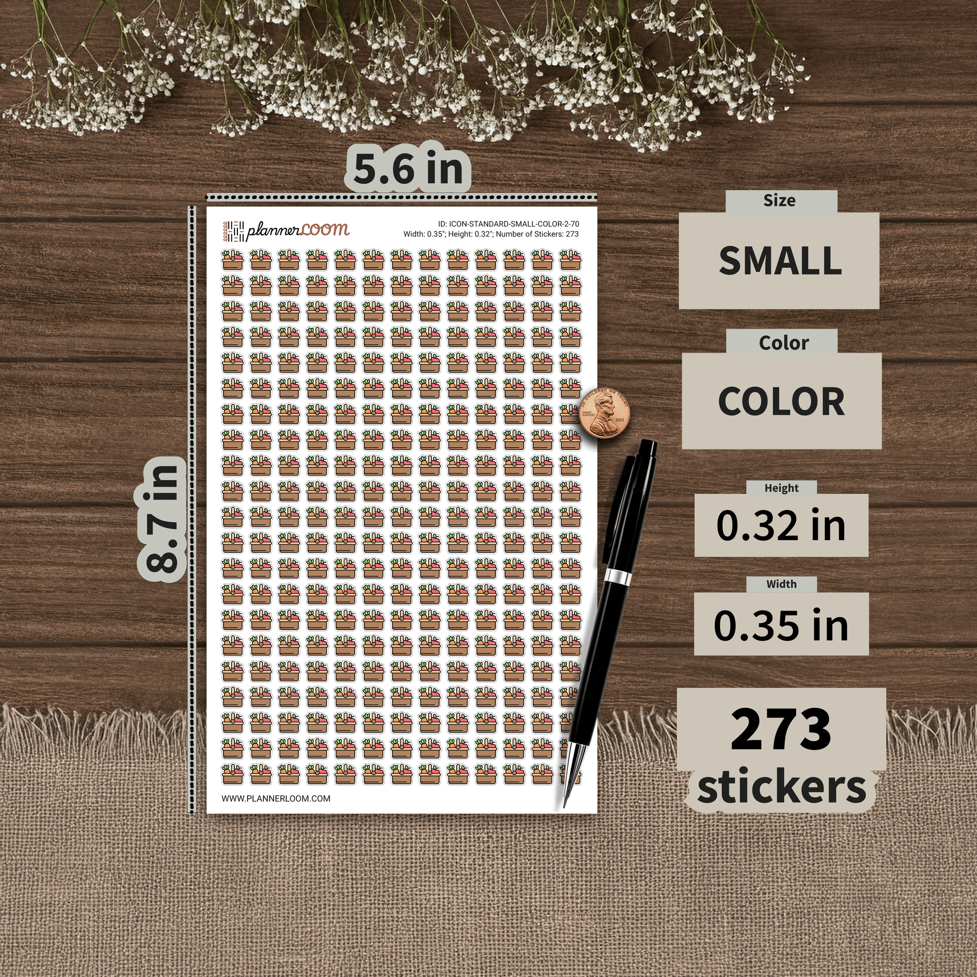 ICON-STANDARD-SMALL-COLOR-2-70.png