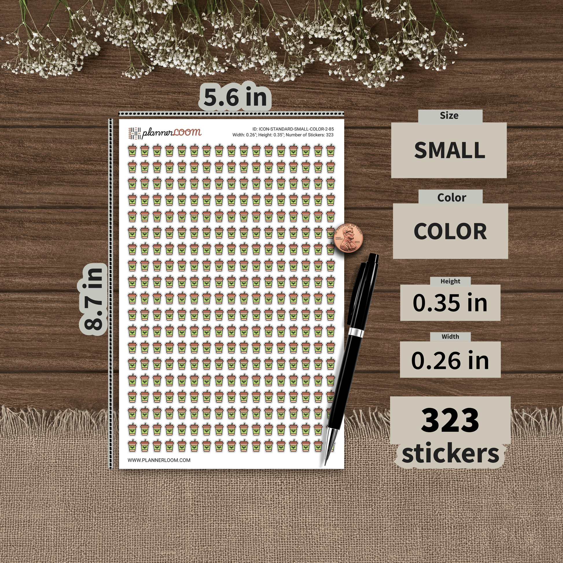 ICON-STANDARD-SMALL-COLOR-2-85.png