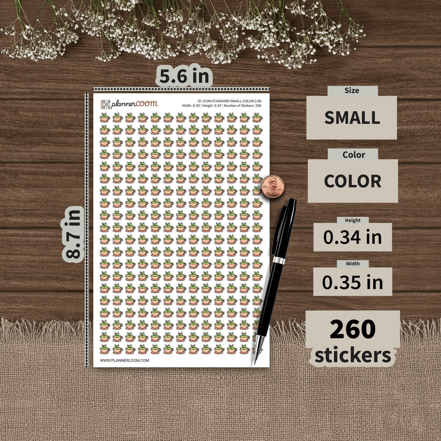 ICON-STANDARD-SMALL-COLOR-2-86.png