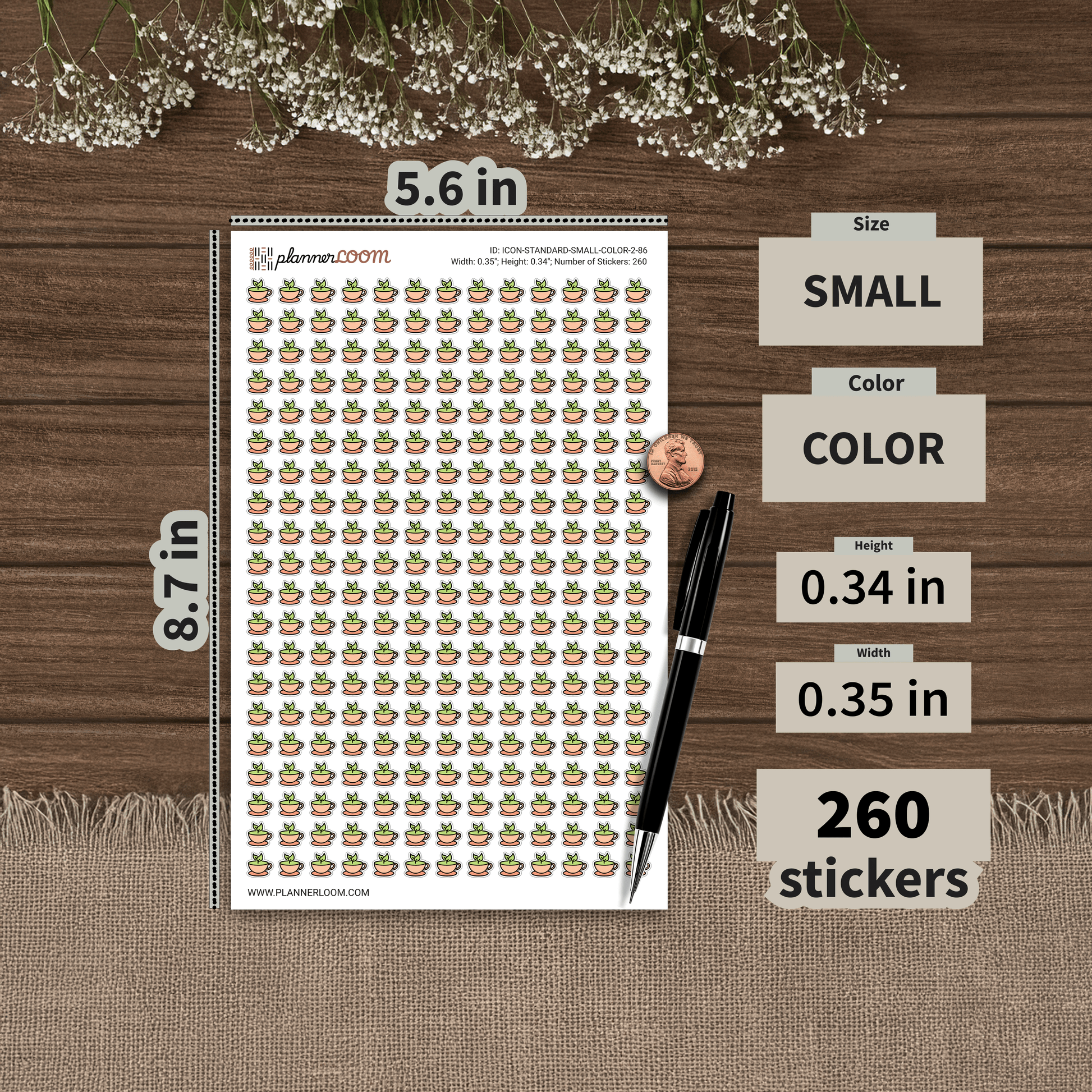 ICON-STANDARD-SMALL-COLOR-2-86.png