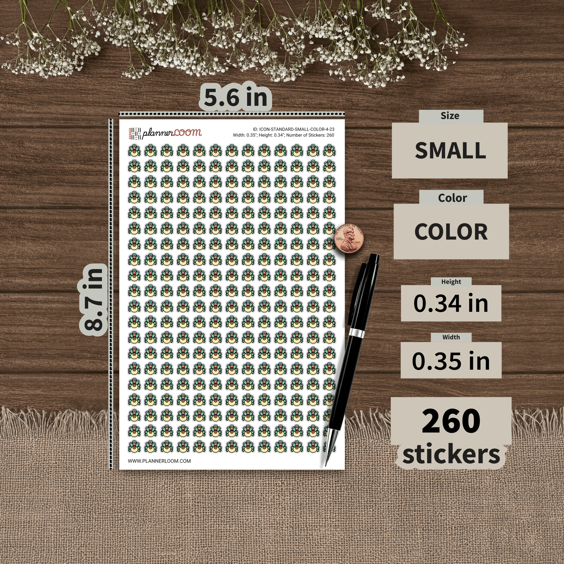 ICON-STANDARD-SMALL-COLOR-4-23.png