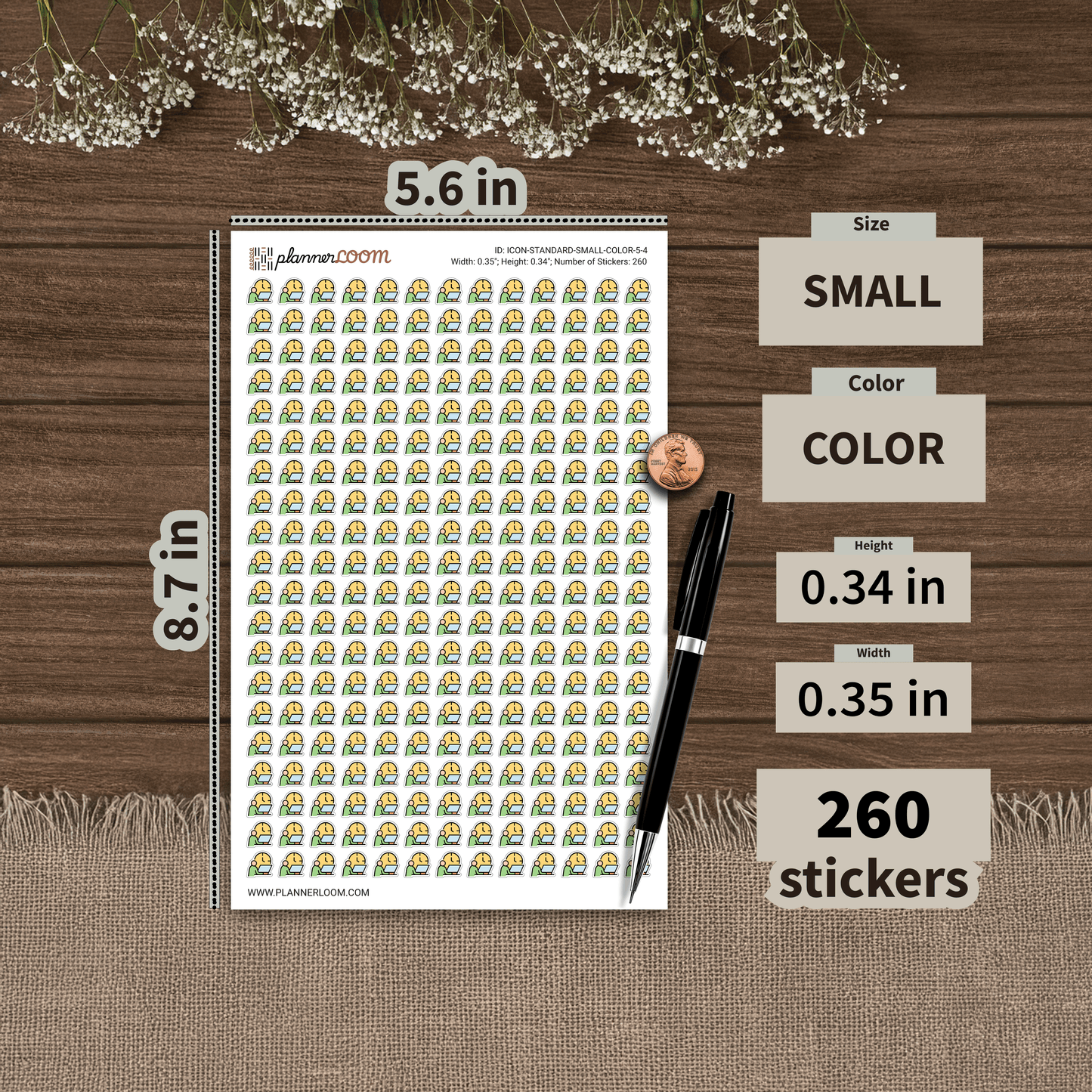 ICON-STANDARD-SMALL-COLOR-5-4.png