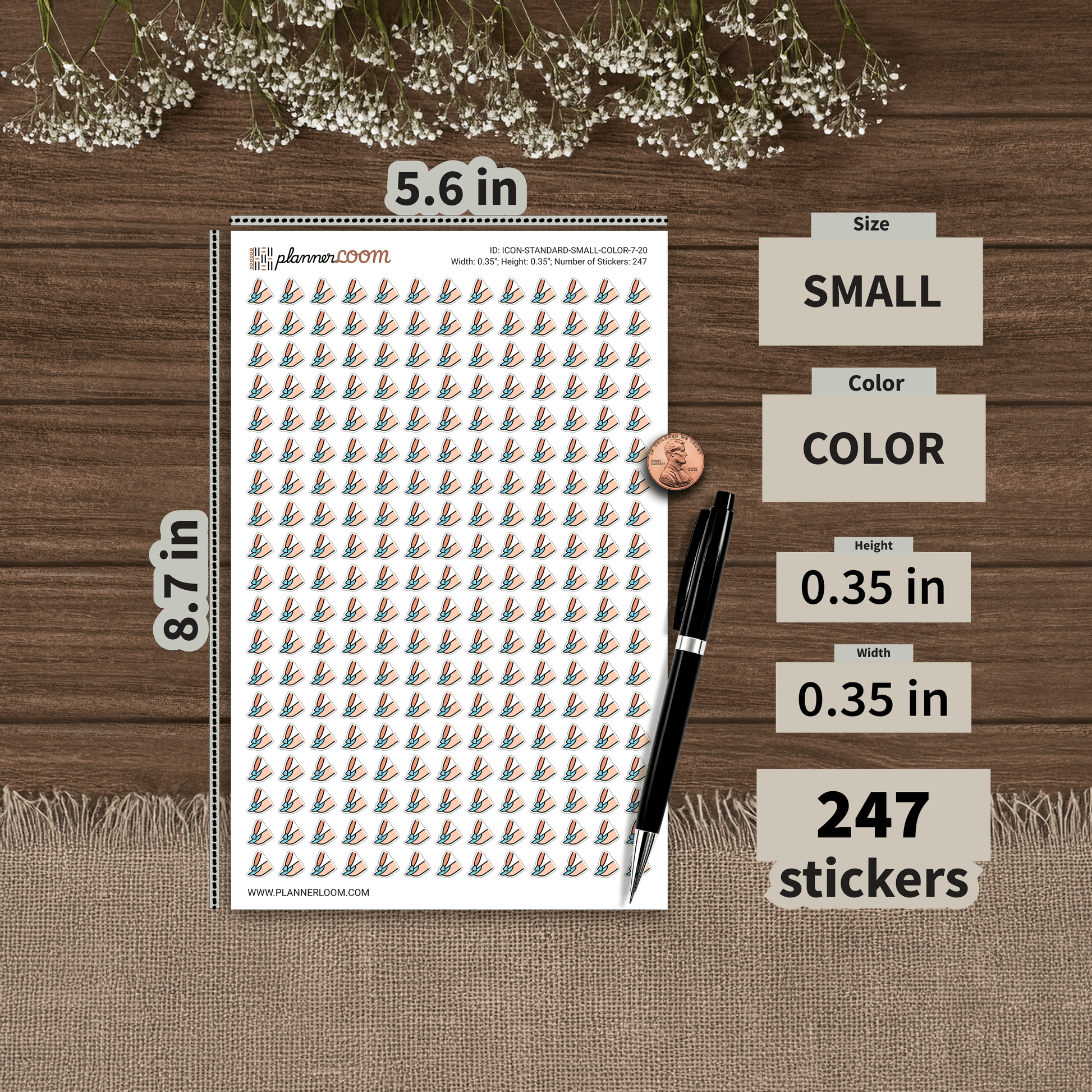 ICON-STANDARD-SMALL-COLOR-7-20.png