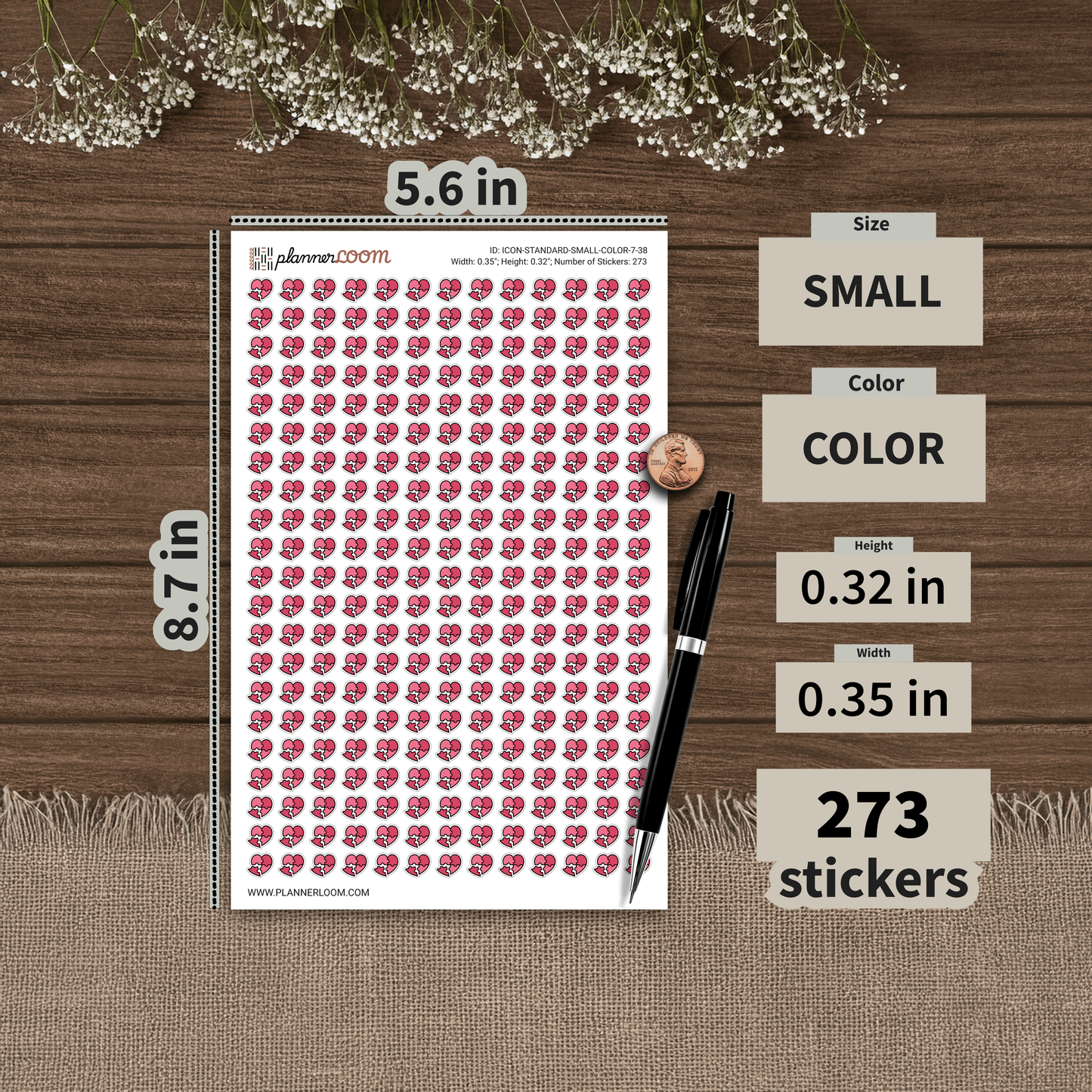 ICON-STANDARD-SMALL-COLOR-7-38.png