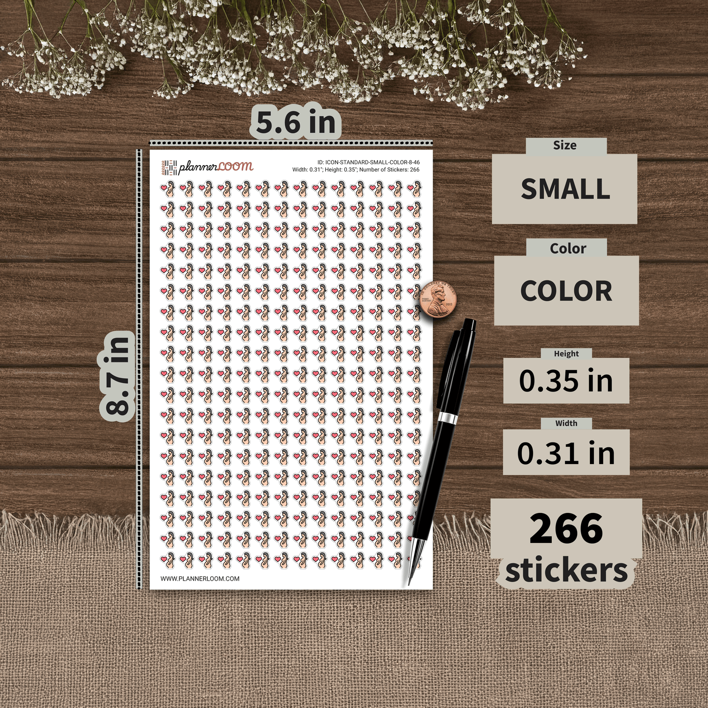 ICON-STANDARD-SMALL-COLOR-8-46.png