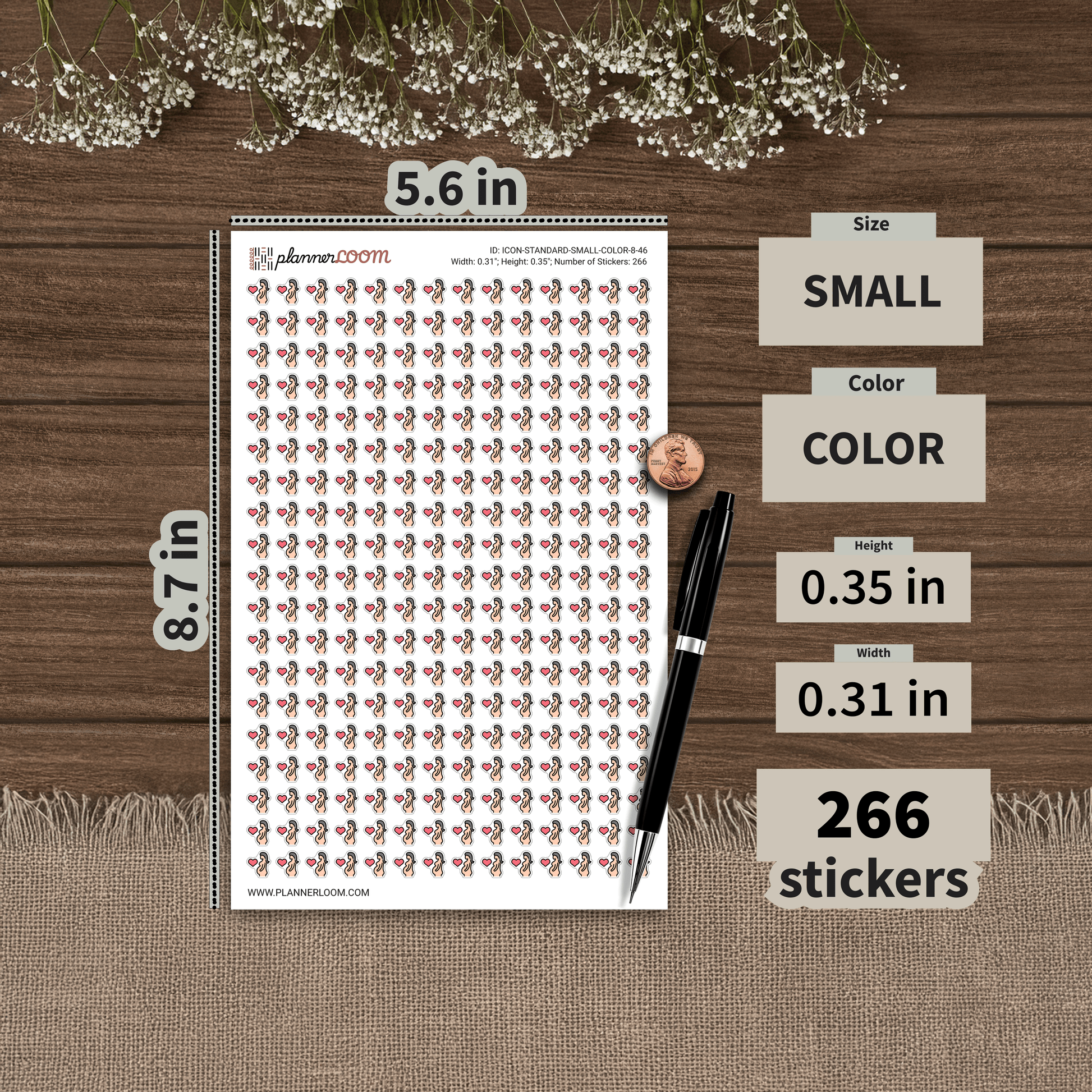 ICON-STANDARD-SMALL-COLOR-8-46.png