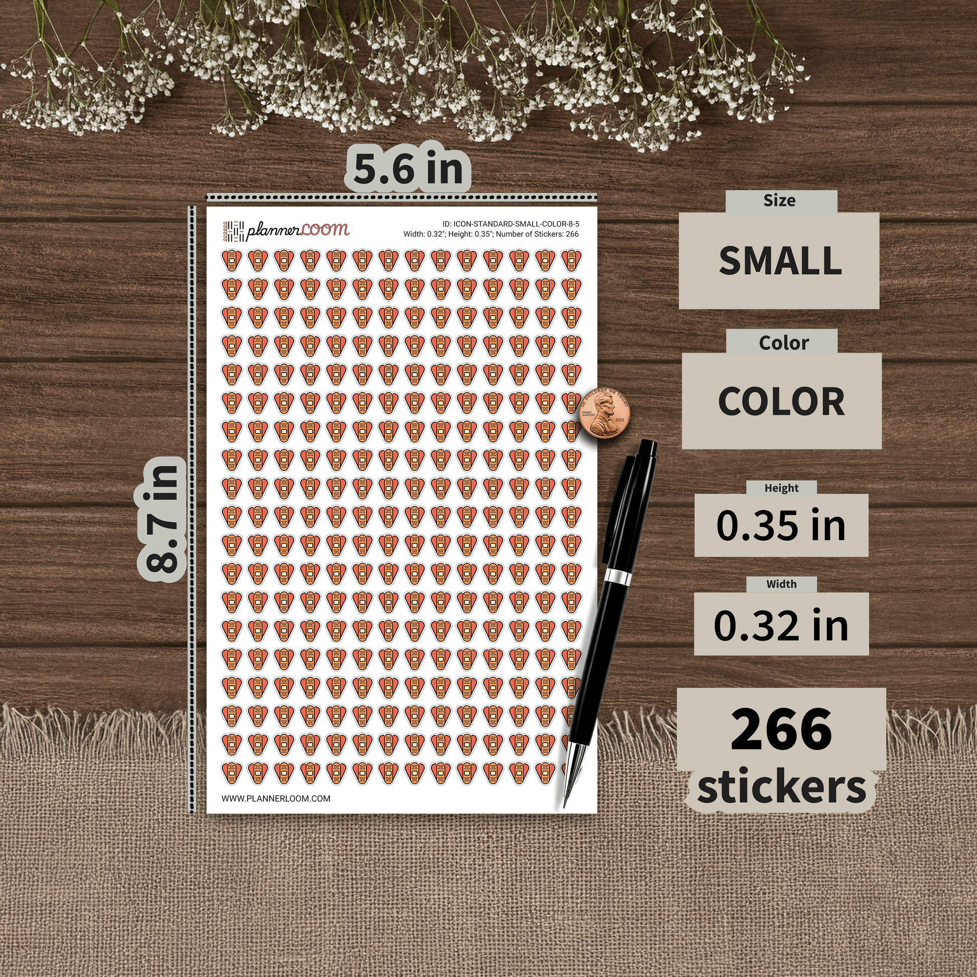 ICON-STANDARD-SMALL-COLOR-8-5.png