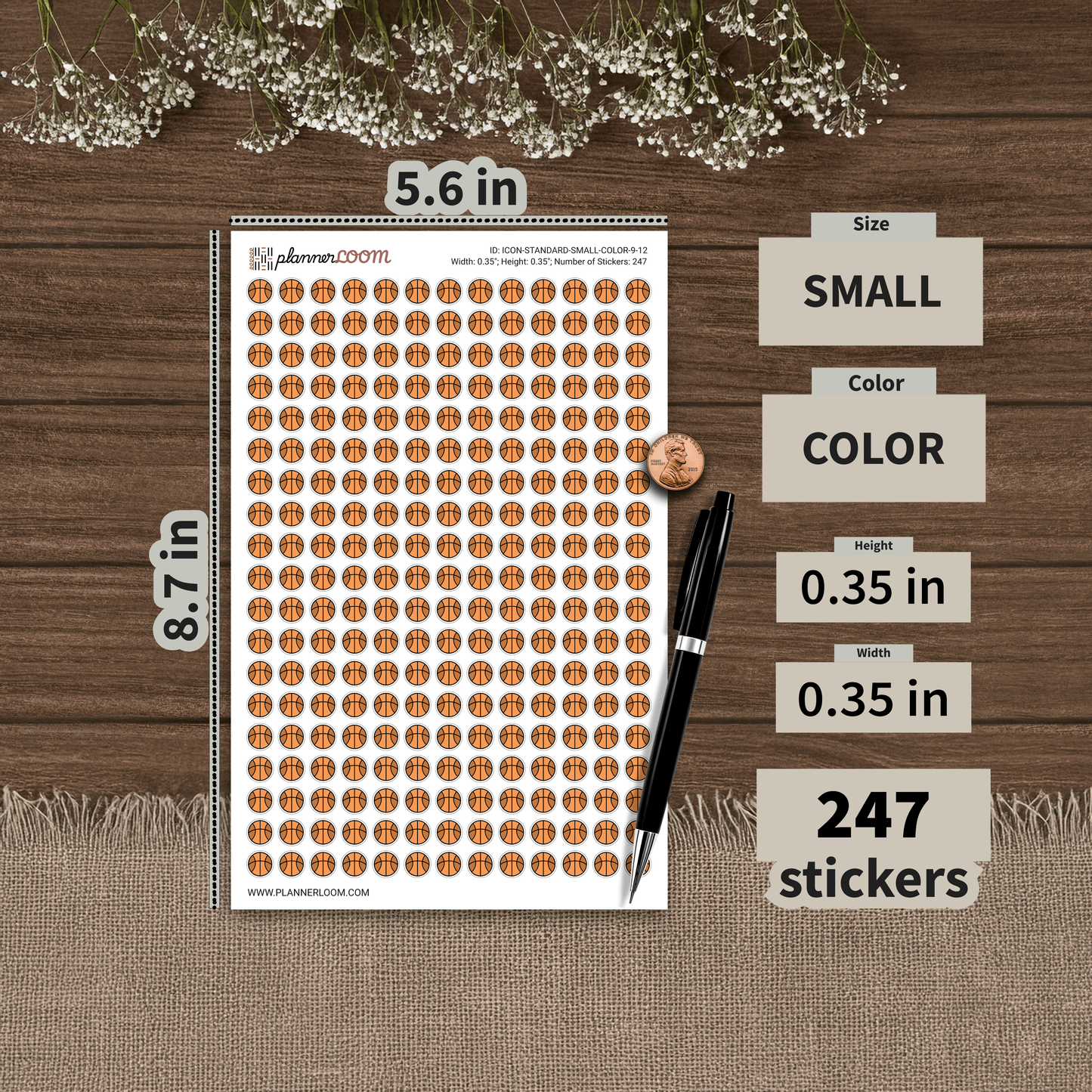 ICON-STANDARD-SMALL-COLOR-9-12.png