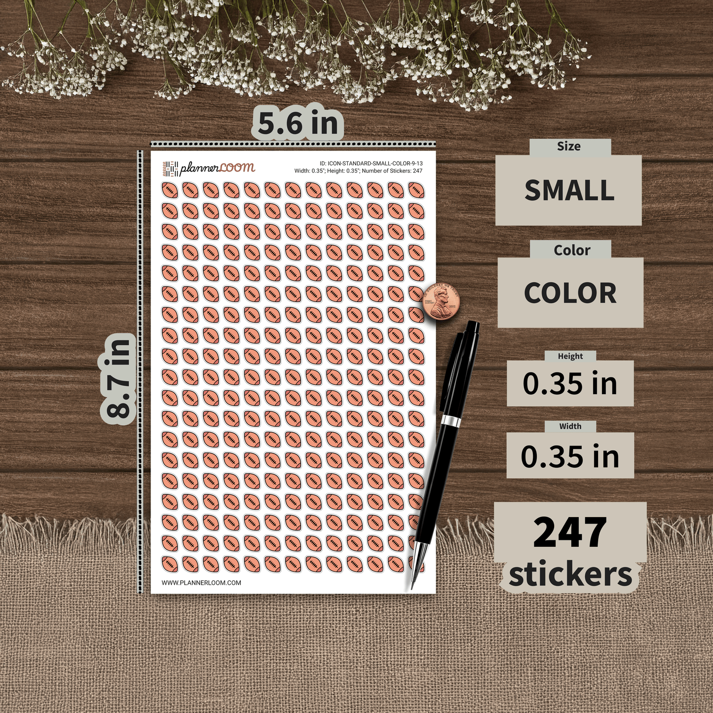 ICON-STANDARD-SMALL-COLOR-9-13.png