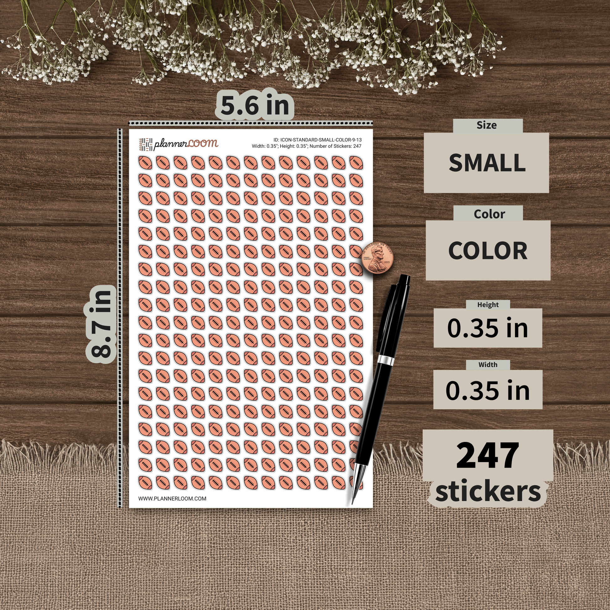 ICON-STANDARD-SMALL-COLOR-9-13.png