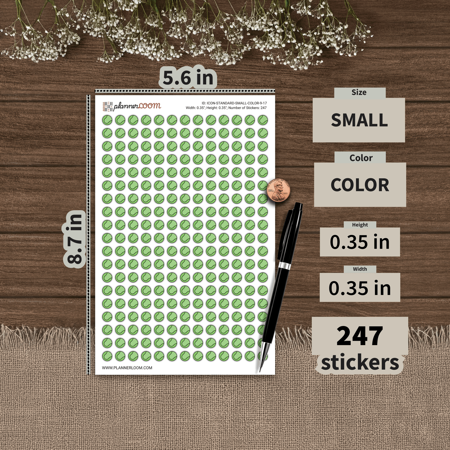 ICON-STANDARD-SMALL-COLOR-9-17.png