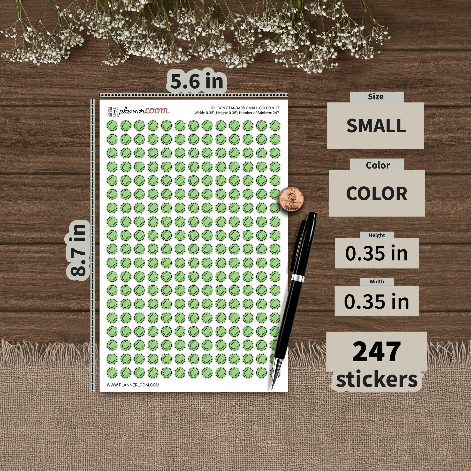 ICON-STANDARD-SMALL-COLOR-9-17.png