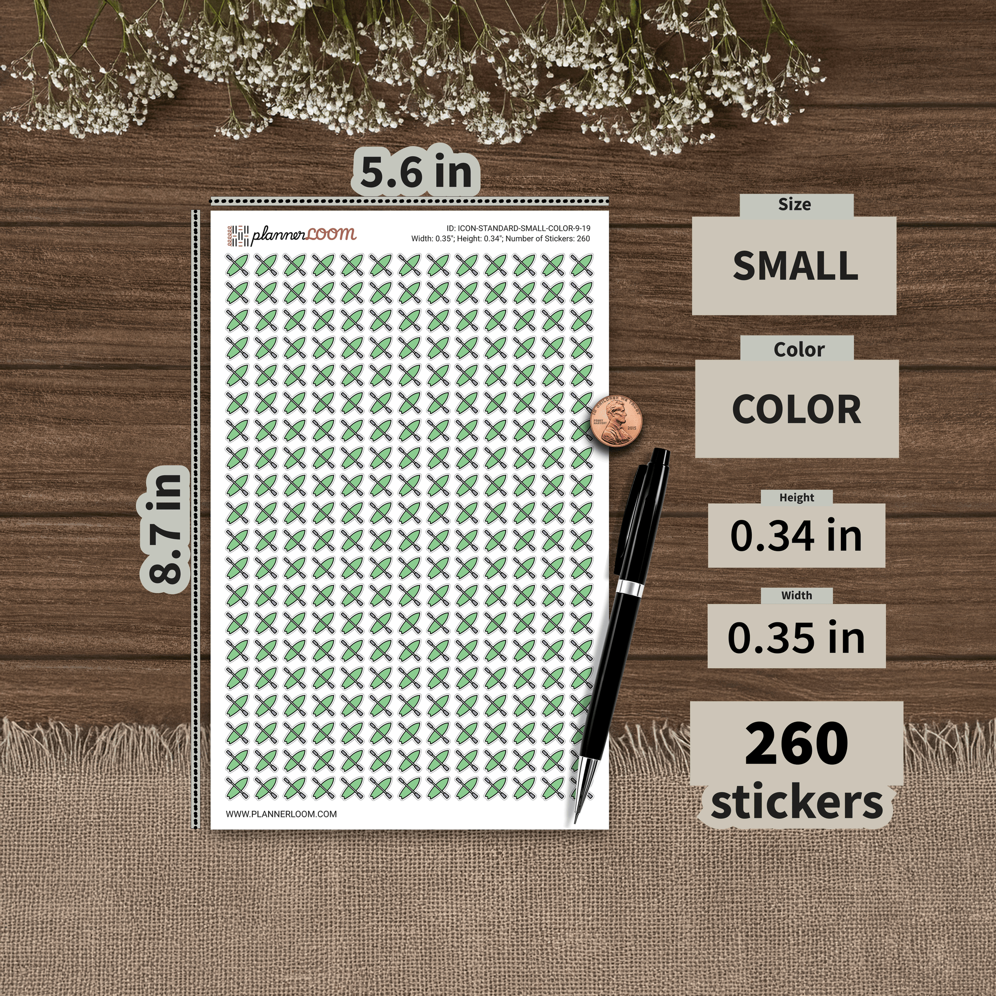 ICON-STANDARD-SMALL-COLOR-9-19.png