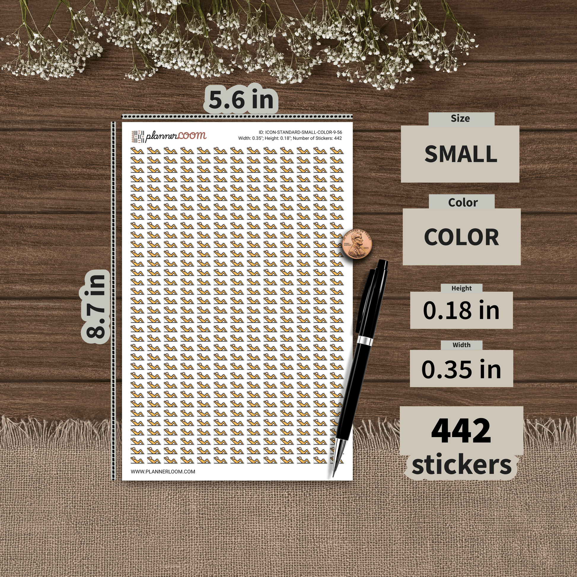ICON-STANDARD-SMALL-COLOR-9-56.png