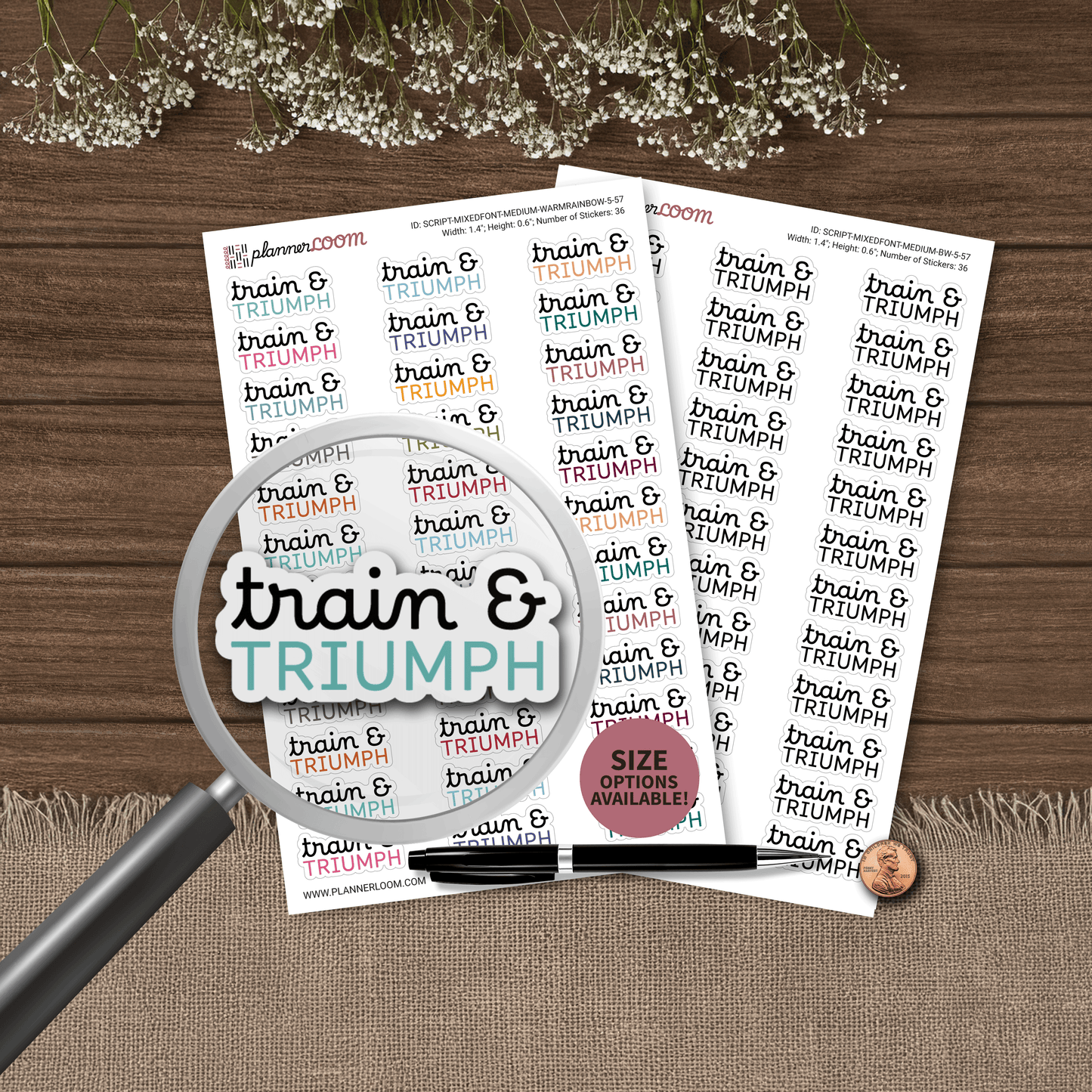 SCRIPT-MIXEDFONT-5-57.png