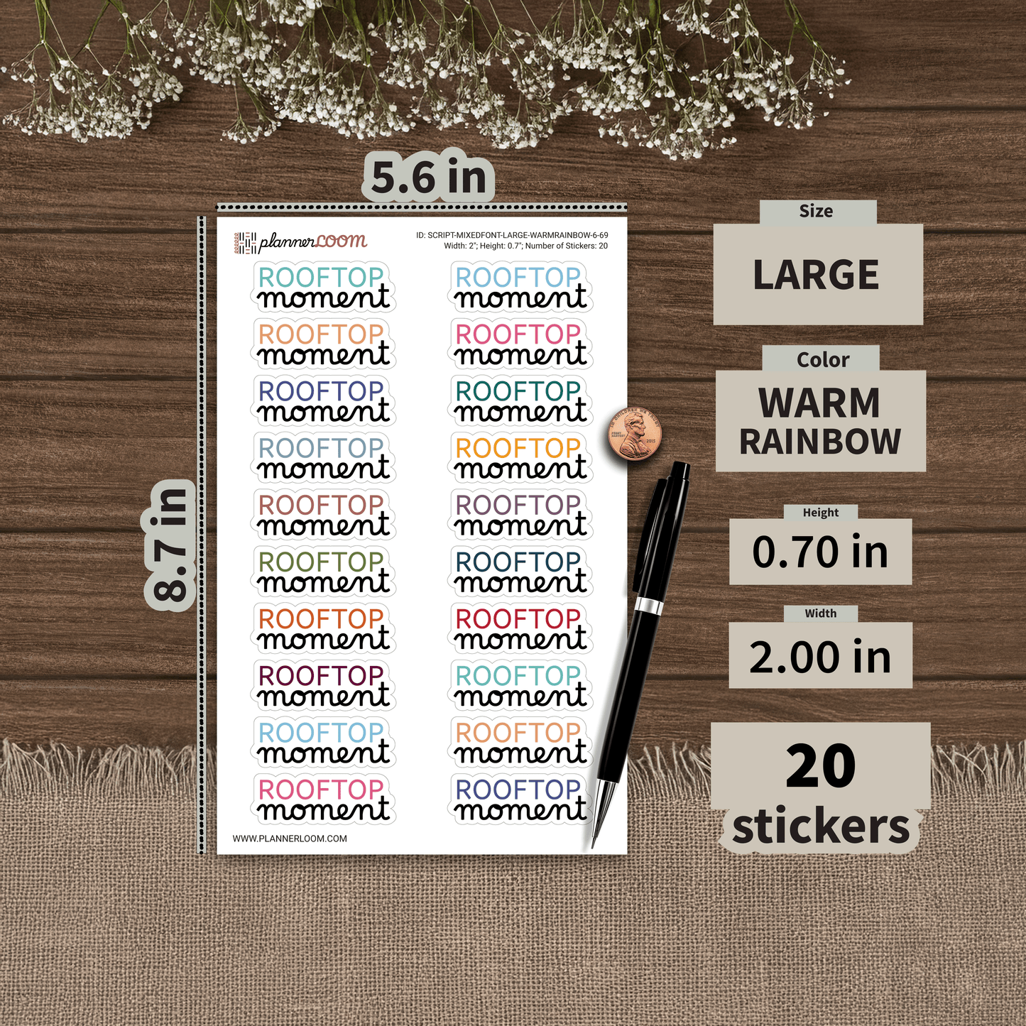 SCRIPT-MIXEDFONT-LARGE-WARMRAINBOW-6-69.png