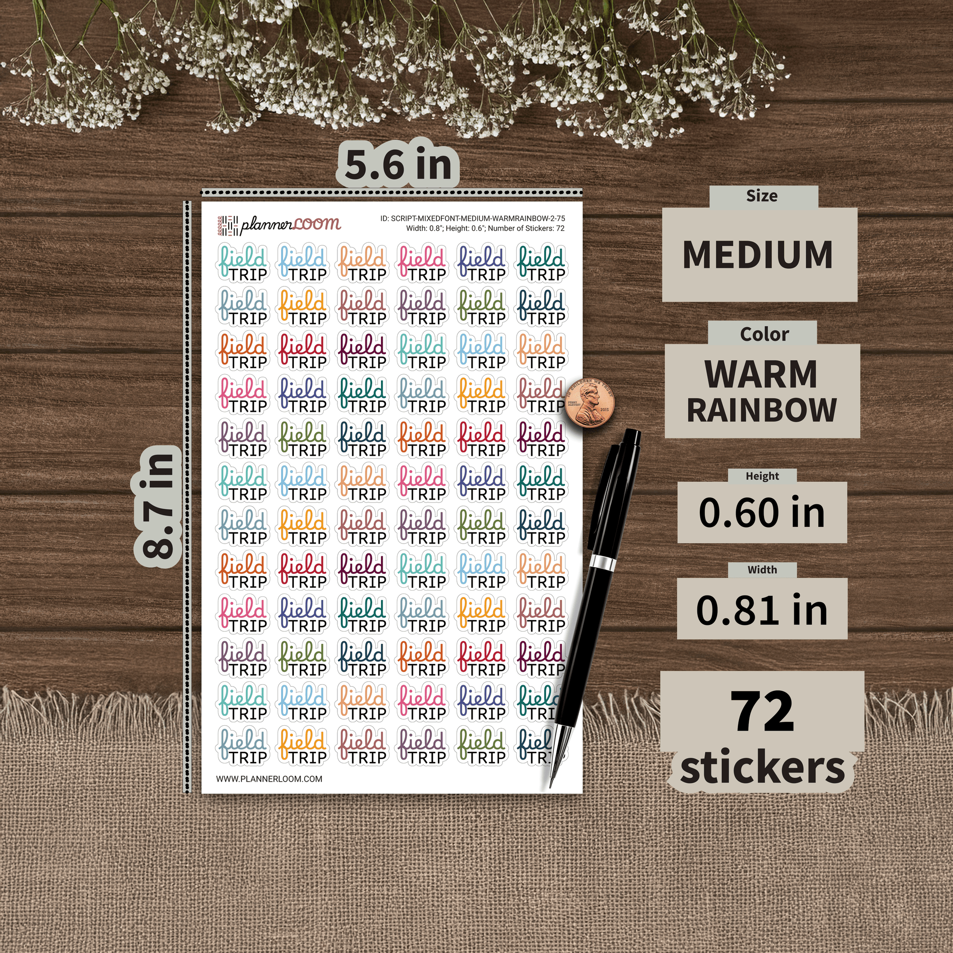 SCRIPT-MIXEDFONT-MEDIUM-WARMRAINBOW-2-75.png