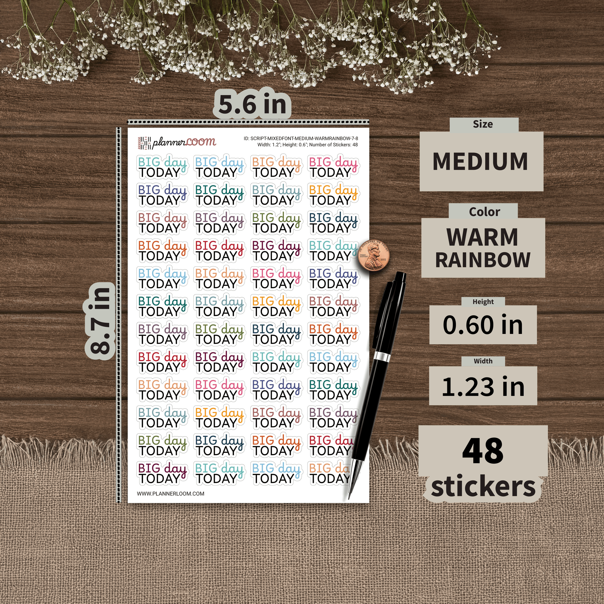 SCRIPT-MIXEDFONT-MEDIUM-WARMRAINBOW-7-8.png