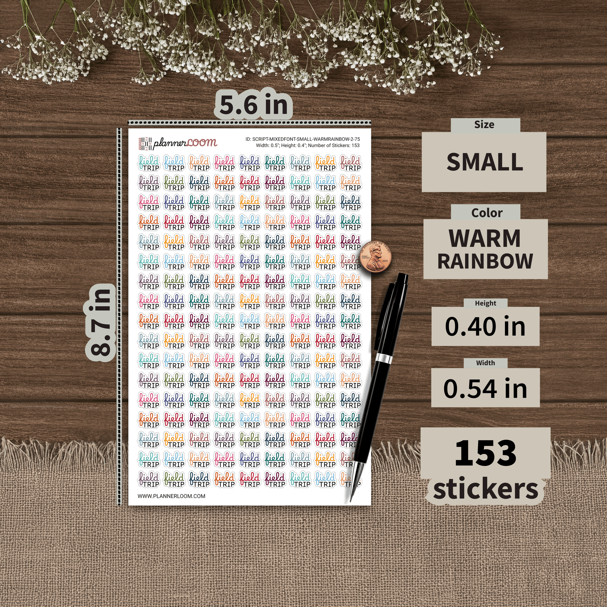 SCRIPT-MIXEDFONT-SMALL-WARMRAINBOW-2-75.png
