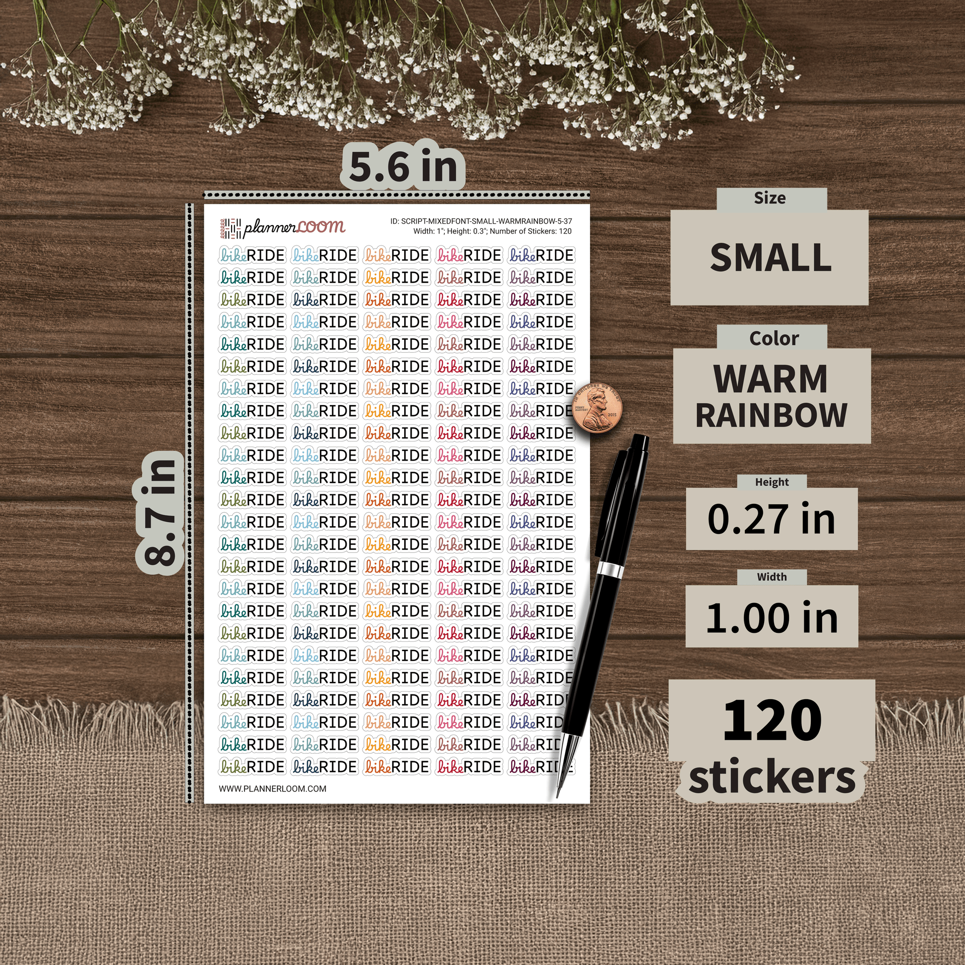 SCRIPT-MIXEDFONT-SMALL-WARMRAINBOW-5-37.png