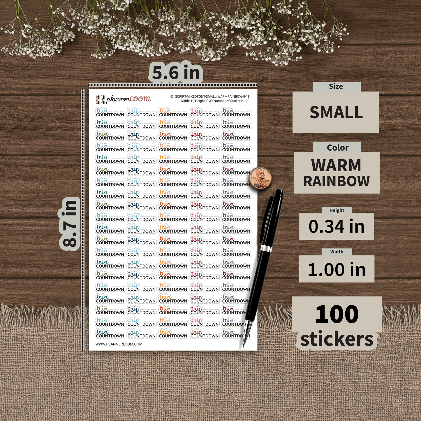 SCRIPT-MIXEDFONT-SMALL-WARMRAINBOW-8-18.png